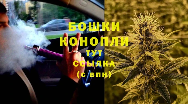 PSILOCYBIN Алзамай