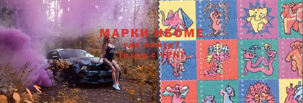 PSILOCYBIN Алзамай