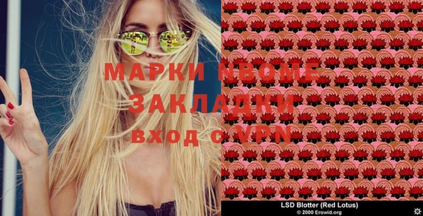 PSILOCYBIN Алзамай