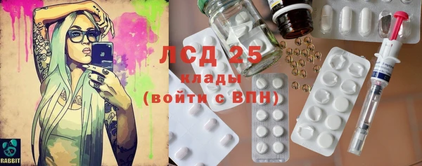 PSILOCYBIN Алзамай