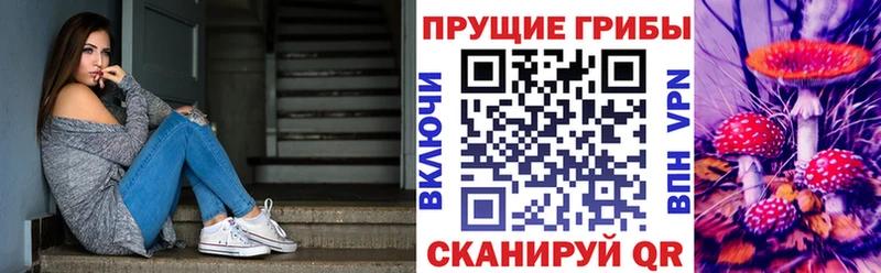 Галлюциногенные грибы GOLDEN TEACHER  Елабуга 