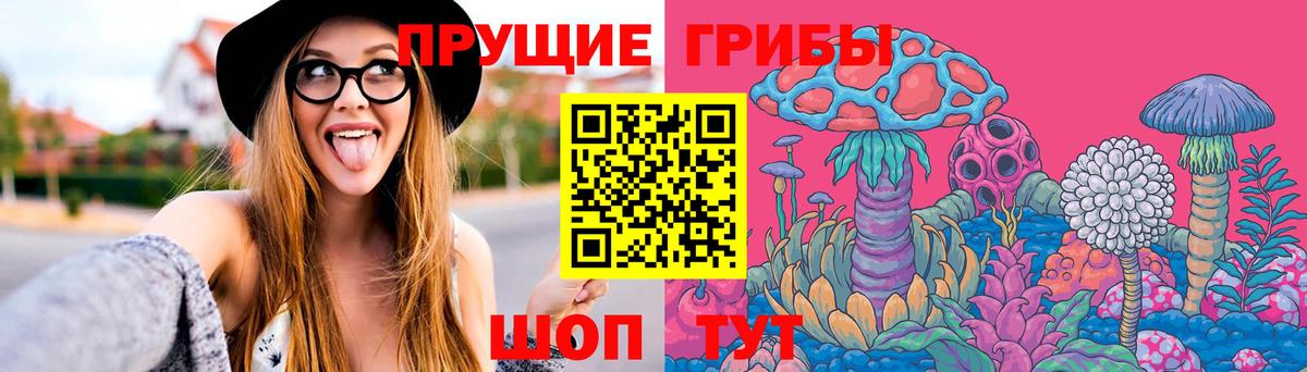 Псилоцибиновые грибы Psilocybe  Вход с VPN  Елабуга 